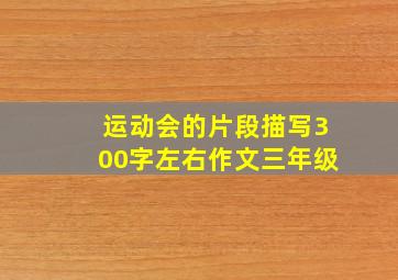 运动会的片段描写300字左右作文三年级