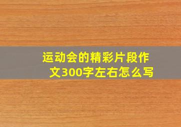 运动会的精彩片段作文300字左右怎么写