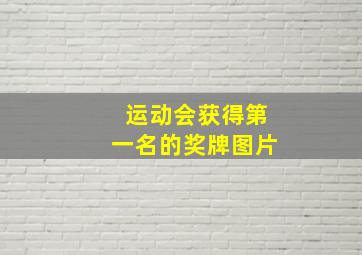 运动会获得第一名的奖牌图片