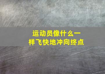 运动员像什么一样飞快地冲向终点