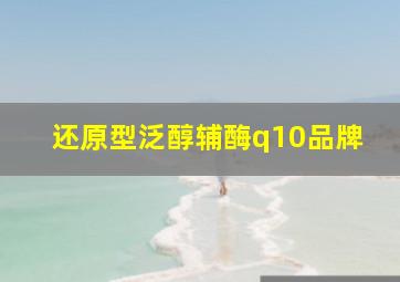 还原型泛醇辅酶q10品牌