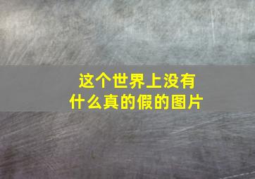 这个世界上没有什么真的假的图片