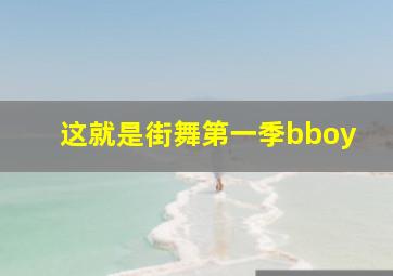 这就是街舞第一季bboy