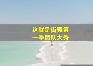 这就是街舞第一季团队大秀