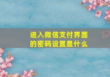 进入微信支付界面的密码设置是什么