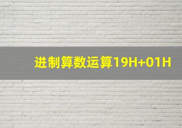 进制算数运算19H+01H