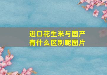 进口花生米与国产有什么区别呢图片