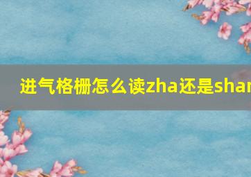 进气格栅怎么读zha还是shan