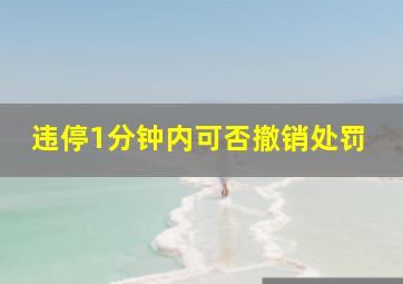 违停1分钟内可否撤销处罚