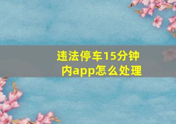 违法停车15分钟内app怎么处理