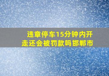 违章停车15分钟内开走还会被罚款吗邯郸市