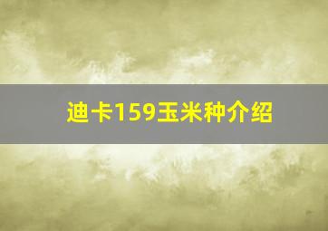 迪卡159玉米种介绍