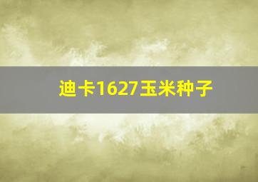 迪卡1627玉米种子