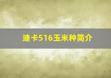 迪卡516玉米种简介