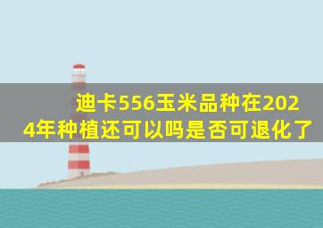 迪卡556玉米品种在2024年种植还可以吗是否可退化了