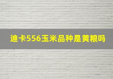 迪卡556玉米品种是黄粮吗