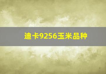 迪卡9256玉米品种