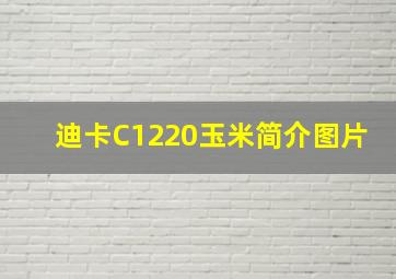 迪卡C1220玉米简介图片