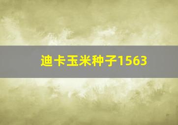 迪卡玉米种子1563