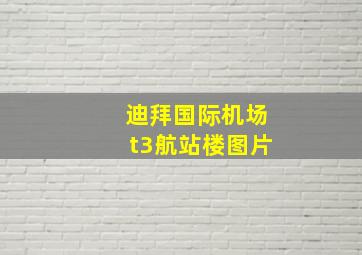 迪拜国际机场t3航站楼图片