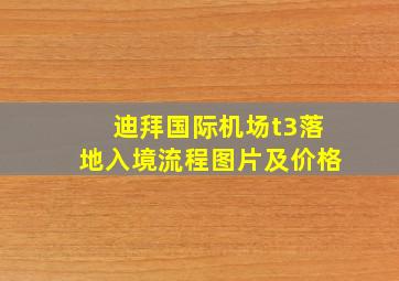 迪拜国际机场t3落地入境流程图片及价格