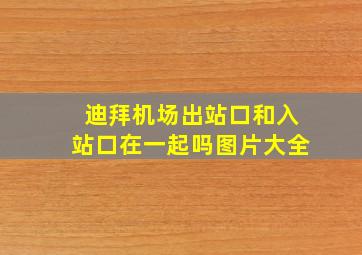 迪拜机场出站口和入站口在一起吗图片大全