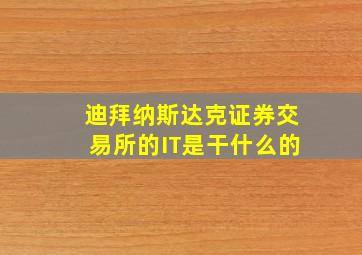 迪拜纳斯达克证券交易所的IT是干什么的