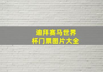 迪拜赛马世界杯门票图片大全