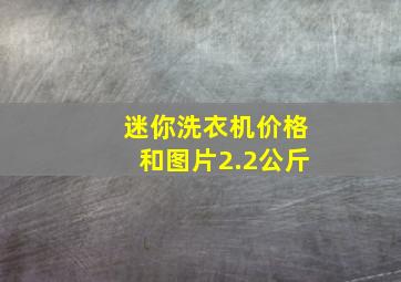 迷你洗衣机价格和图片2.2公斤