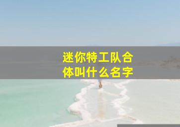 迷你特工队合体叫什么名字