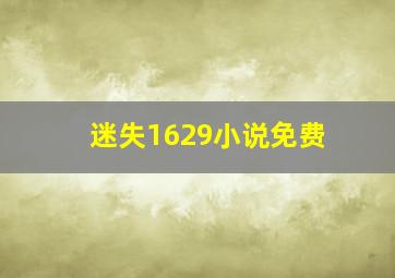 迷失1629小说免费