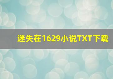 迷失在1629小说TXT下载