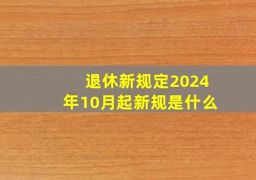 退休新规定2024年10月起新规是什么