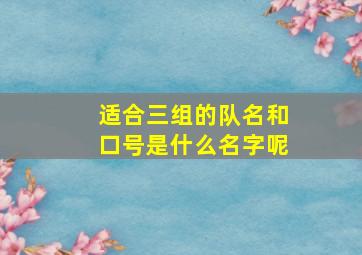 适合三组的队名和口号是什么名字呢