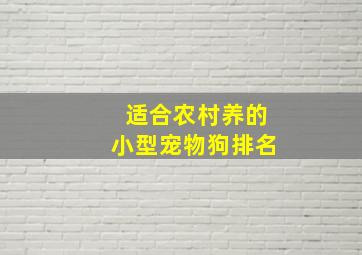 适合农村养的小型宠物狗排名