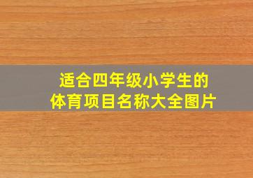 适合四年级小学生的体育项目名称大全图片