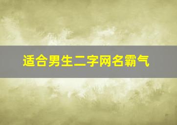 适合男生二字网名霸气