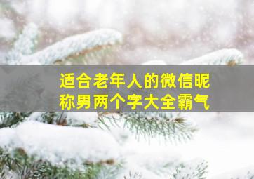 适合老年人的微信昵称男两个字大全霸气