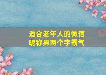 适合老年人的微信昵称男两个字霸气