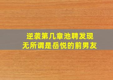 逆袭第几章池聘发现无所谓是岳悦的前男友