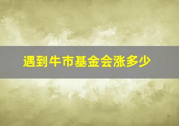 遇到牛市基金会涨多少