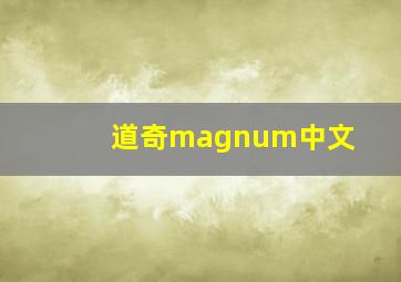 道奇magnum中文