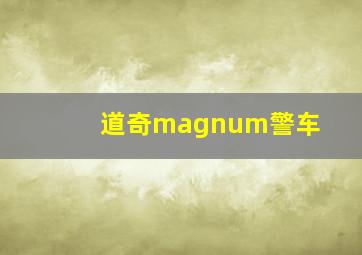 道奇magnum警车