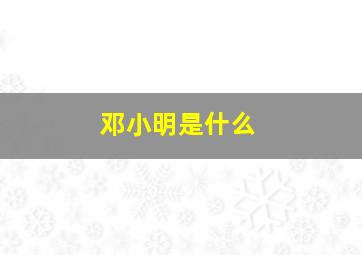 邓小明是什么