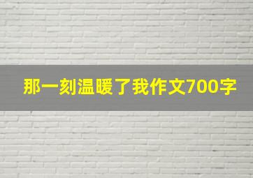 那一刻温暖了我作文700字