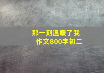 那一刻温暖了我作文800字初二