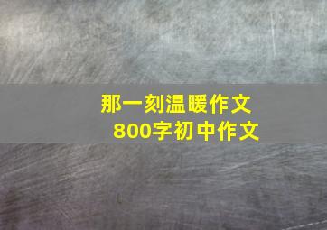 那一刻温暖作文800字初中作文