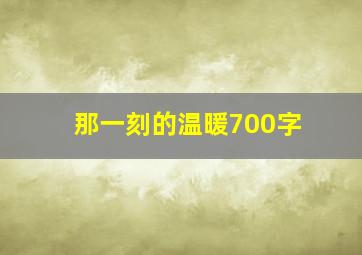 那一刻的温暖700字