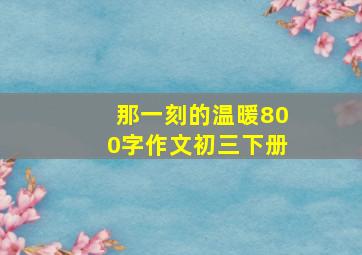 那一刻的温暖800字作文初三下册