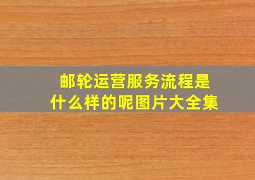 邮轮运营服务流程是什么样的呢图片大全集